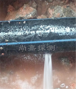 宁陵消防管道漏点探测