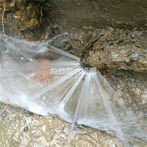 宁陵自来水管道漏点检测